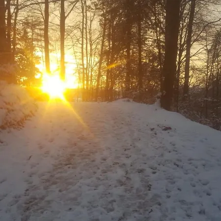 Lejlighed Haus Am Wald Stockach